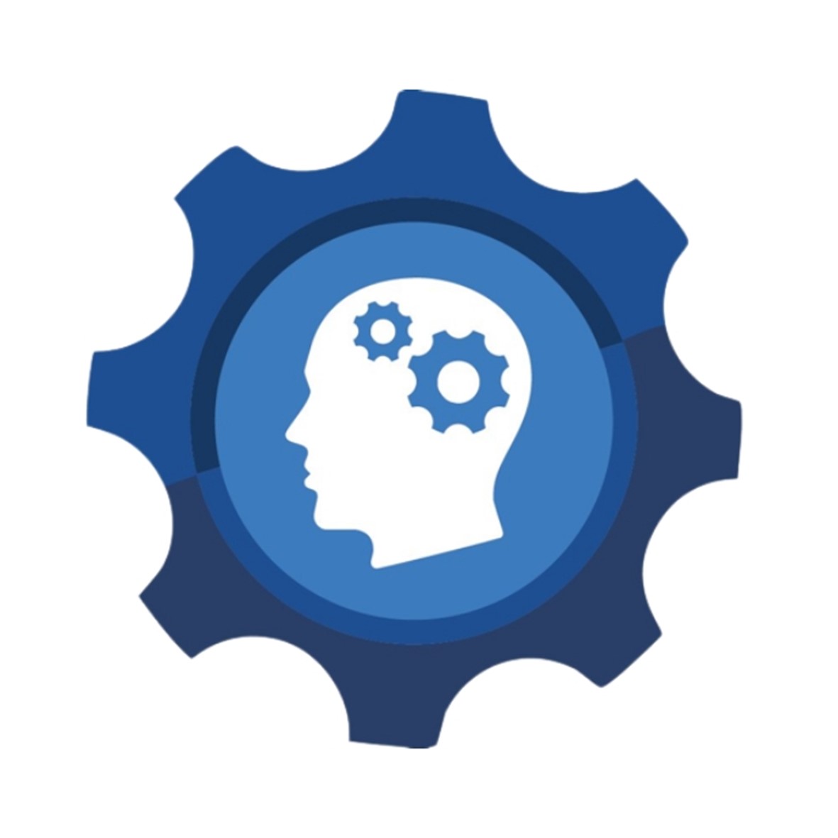 Skill Development Workshops